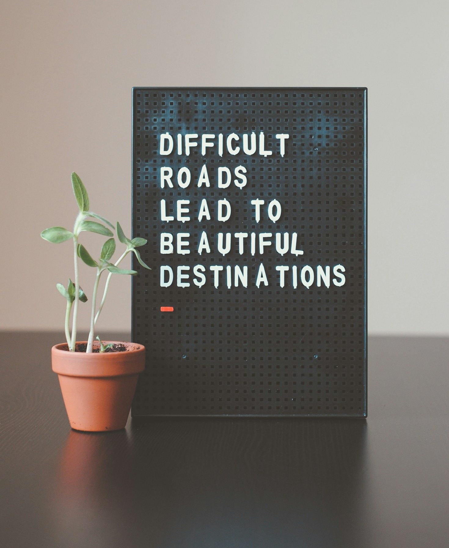 How to Build a Profitable Digital Business From Scratch